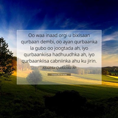 Picture 07 - Tirintii 29:19 SOM - Oo waa inaad orgi u bixisaan qurbaan dembi, oo - Bible Verse Picture