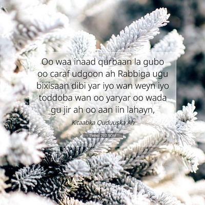 Picture 07 - Tirintii 29:2 SOM - Oo waa inaad qurbaan la gubo oo caraf udgoon ah - Bible Verse Picture