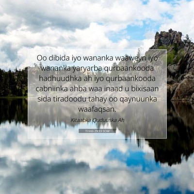 Picture 07 - Tirintii 29:33 SOM - Oo dibida iyo wananka waaweyn iyo wananka - Bible Verse Picture