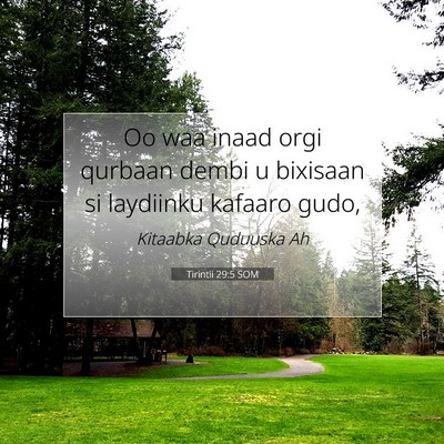 Picture 07 - Tirintii 29:5 SOM - Oo waa inaad orgi qurbaan dembi u bixisaan si - Bible Verse Picture