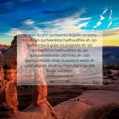 Picture 07 - Tirintii 29:6 SOM - oo ayan ku jirin qurbaanka la gubo ee bisha - Bible Verse Picture