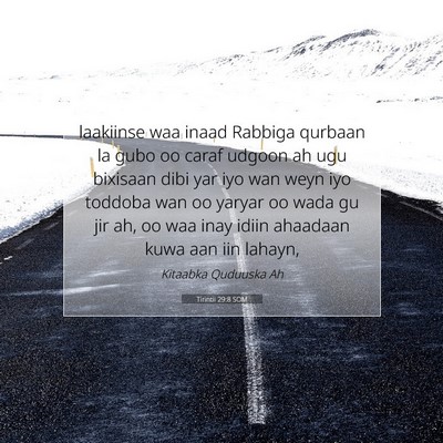 Picture 07 - Tirintii 29:8 SOM - laakiinse waa inaad Rabbiga qurbaan la gubo oo - Bible Verse Picture