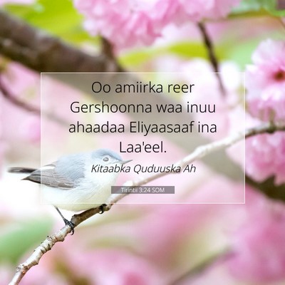 Picture 07 - Tirintii 3:24 SOM - Oo amiirka reer Gershoonna waa inuu ahaadaa - Bible Verse Picture