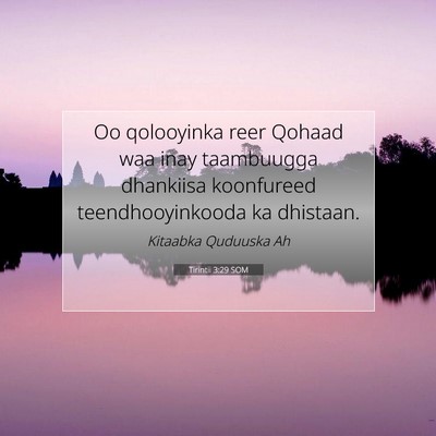 Picture 07 - Tirintii 3:29 SOM - Oo qolooyinka reer Qohaad waa inay taambuugga - Bible Verse Picture
