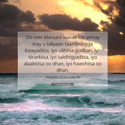 Picture 07 - Tirintii 3:36 SOM - Oo reer Meraarii waxaa loo amray inay u taliyaan - Bible Verse Picture