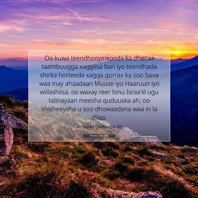 Picture 07 - Tirintii 3:38 SOM - Oo kuwa teendhooyinkooda ka dhistaa taambuugga - Bible Verse Picture