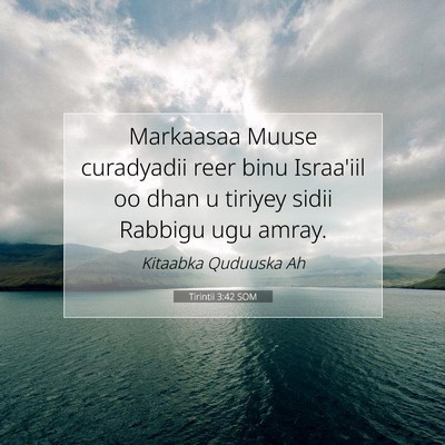 Picture 07 - Tirintii 3:42 SOM - Markaasaa Muuse curadyadii reer binu Israa'iil oo - Bible Verse Picture