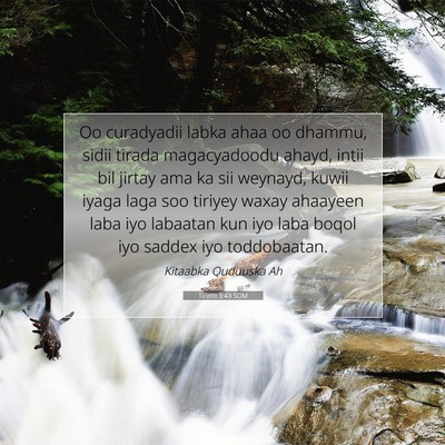 Picture 07 - Tirintii 3:43 SOM - Oo curadyadii labka ahaa oo dhammu, sidii tirada - Bible Verse Picture