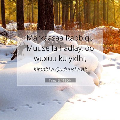 Picture 07 - Tirintii 3:44 SOM - Markaasaa Rabbigu Muuse la hadlay, oo wuxuu ku - Bible Verse Picture