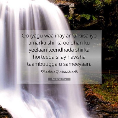Picture 07 - Tirintii 3:7 SOM - Oo iyagu waa inay amarkiisa iyo amarka shirka oo - Bible Verse Picture
