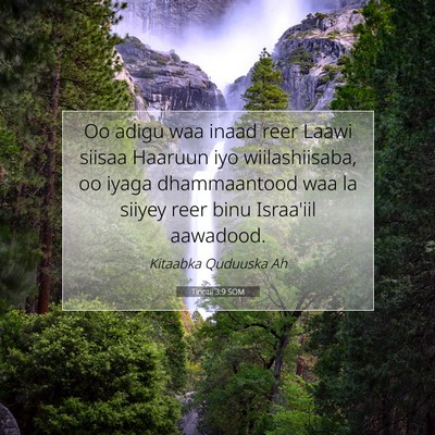 Picture 07 - Tirintii 3:9 SOM - Oo adigu waa inaad reer Laawi siisaa Haaruun iyo - Bible Verse Picture