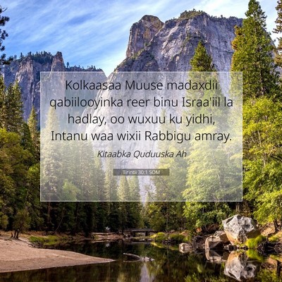 Picture 07 - Tirintii 30:1 SOM - Kolkaasaa Muuse madaxdii qabiilooyinka reer binu - Bible Verse Picture