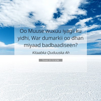 Picture 07 - Tirintii 31:15 SOM - Oo Muuse wuxuu iyagii ku yidhi, War dumarkii oo - Bible Verse Picture