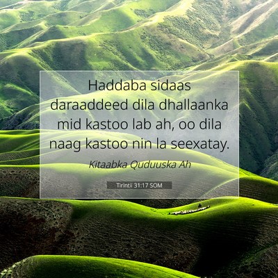Picture 07 - Tirintii 31:17 SOM - Haddaba sidaas daraaddeed dila dhallaanka mid - Bible Verse Picture