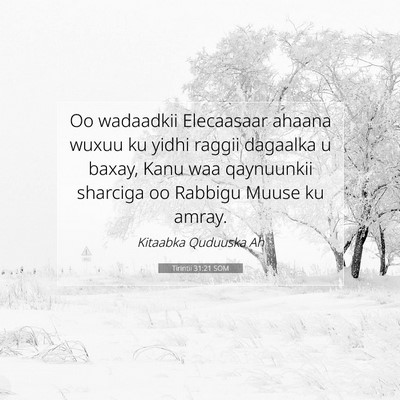 Picture 07 - Tirintii 31:21 SOM - Oo wadaadkii Elecaasaar ahaana wuxuu ku yidhi - Bible Verse Picture