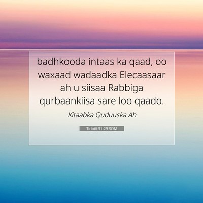 Picture 07 - Tirintii 31:29 SOM - badhkooda intaas ka qaad, oo waxaad wadaadka - Bible Verse Picture