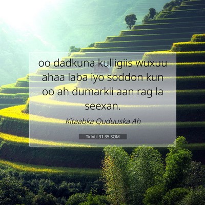 Picture 07 - Tirintii 31:35 SOM - oo dadkuna kulligiis wuxuu ahaa laba iyo soddon - Bible Verse Picture