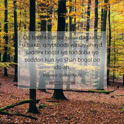 Picture 07 - Tirintii 31:36 SOM - Oo badhkii ahaa kuwii dagaalka u baxay qaybtoodii - Bible Verse Picture