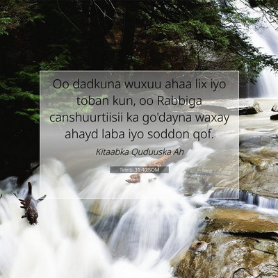 Picture 07 - Tirintii 31:40 SOM - Oo dadkuna wuxuu ahaa lix iyo toban kun, oo - Bible Verse Picture