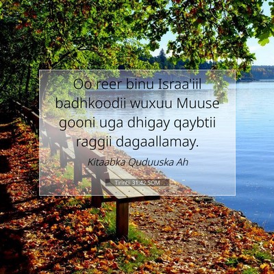 Picture 07 - Tirintii 31:42 SOM - Oo reer binu Israa'iil badhkoodii wuxuu Muuse - Bible Verse Picture