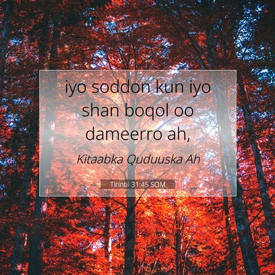 Picture 07 - Tirintii 31:45 SOM - iyo soddon kun iyo shan boqol oo dameerro - Bible Verse Picture