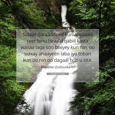 Picture 07 - Tirintii 31:5 SOM - Sidaas daraaddeed kumanyaalkii reer binu - Bible Verse Picture