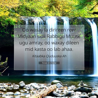 Picture 07 - Tirintii 31:7 SOM - Oo waxay la dirireen reer Midyaan sidii Rabbigu - Bible Verse Picture