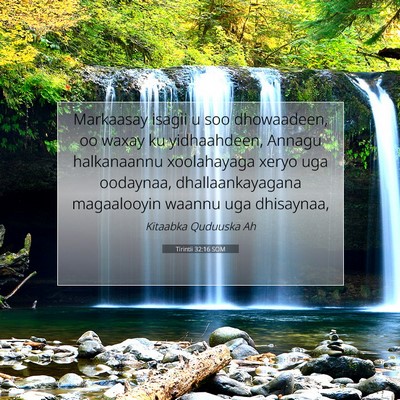 Picture 07 - Tirintii 32:16 SOM - Markaasay isagii u soo dhowaadeen, oo waxay ku - Bible Verse Picture