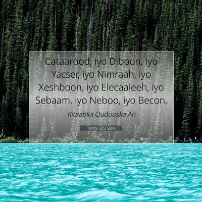 Picture 07 - Tirintii 32:3 SOM - Cataarood, iyo Diboon, iyo Yacser, iyo Nimraah, - Bible Verse Picture