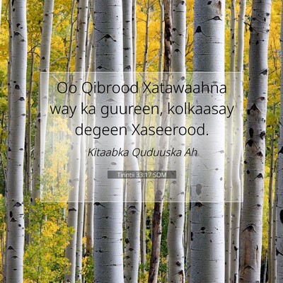Picture 07 - Tirintii 33:17 SOM - Oo Qibrood Xatawaahna way ka guureen, kolkaasay - Bible Verse Picture