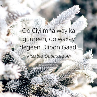 Picture 07 - Tirintii 33:45 SOM - Oo Ciyiimna way ka guureen, oo waxay degeen - Bible Verse Picture