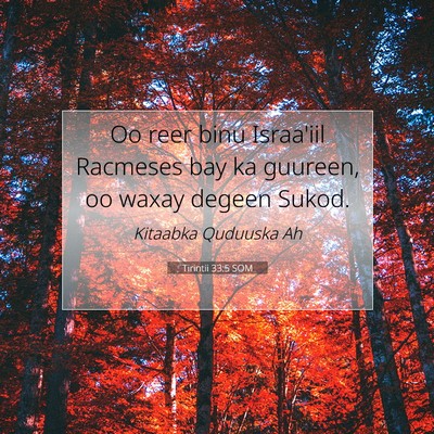 Picture 07 - Tirintii 33:5 SOM - Oo reer binu Israa'iil Racmeses bay ka guureen, - Bible Verse Picture