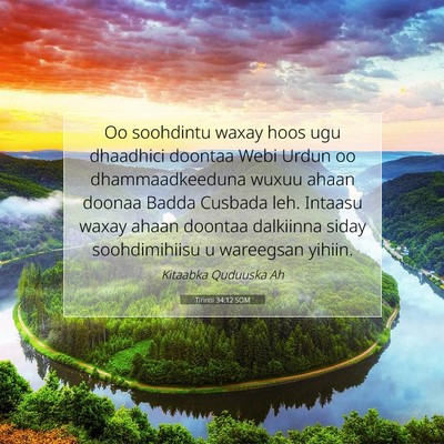 Picture 07 - Tirintii 34:12 SOM - Oo soohdintu waxay hoos ugu dhaadhici doontaa - Bible Verse Picture