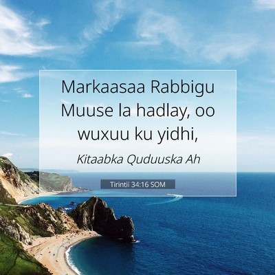 Picture 07 - Tirintii 34:16 SOM - Markaasaa Rabbigu Muuse la hadlay, oo wuxuu ku - Bible Verse Picture
