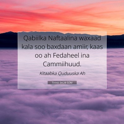 Picture 07 - Tirintii 34:28 SOM - Qabiilka Naftaalina waxaad kala soo baxdaan - Bible Verse Picture