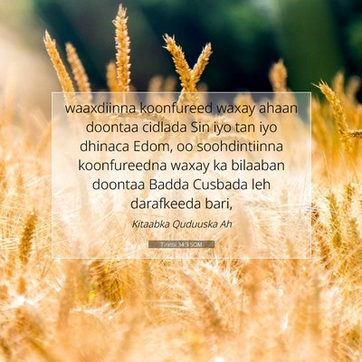 Picture 07 - Tirintii 34:3 SOM - waaxdiinna koonfureed waxay ahaan doontaa cidlada - Bible Verse Picture