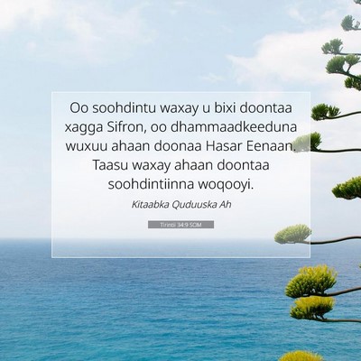 Picture 07 - Tirintii 34:9 SOM - Oo soohdintu waxay u bixi doontaa xagga Sifron, - Bible Verse Picture