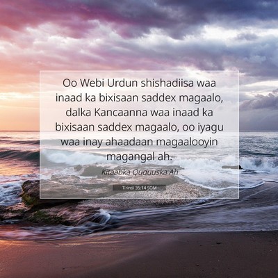 Picture 07 - Tirintii 35:14 SOM - Oo Webi Urdun shishadiisa waa inaad ka bixisaan - Bible Verse Picture