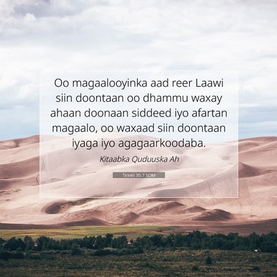 Picture 07 - Tirintii 35:7 SOM - Oo magaalooyinka aad reer Laawi siin doontaan oo - Bible Verse Picture