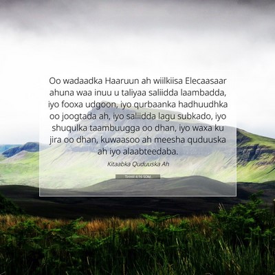Picture 07 - Tirintii 4:16 SOM - Oo wadaadka Haaruun ah wiilkiisa Elecaasaar ahuna - Bible Verse Picture