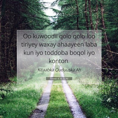 Picture 07 - Tirintii 4:36 SOM - Oo kuwoodii qolo qolo loo tiriyey waxay ahaayeen - Bible Verse Picture