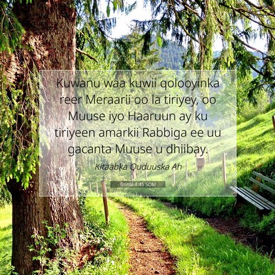 Picture 07 - Tirintii 4:45 SOM - Kuwanu waa kuwii qolooyinka reer Meraarii oo la - Bible Verse Picture
