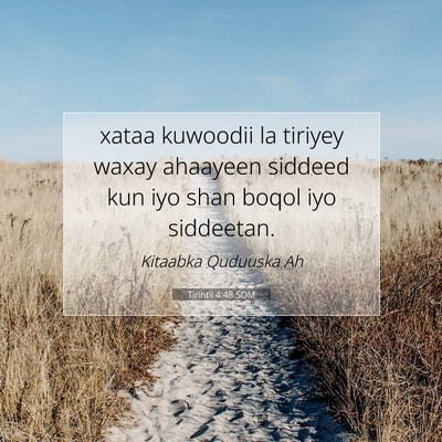 Picture 07 - Tirintii 4:48 SOM - xataa kuwoodii la tiriyey waxay ahaayeen siddeed - Bible Verse Picture