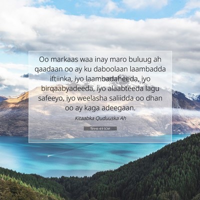 Picture 07 - Tirintii 4:9 SOM - Oo markaas waa inay maro buluug ah qaadaan oo ay - Bible Verse Picture