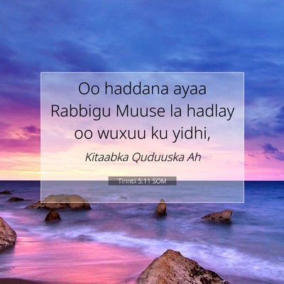 Picture 07 - Tirintii 5:11 SOM - Oo haddana ayaa Rabbigu Muuse la hadlay oo wuxuu - Bible Verse Picture