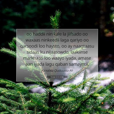 Picture 07 - Tirintii 5:13 SOM - oo haddii nin kale la jiifsado oo waxaas - Bible Verse Picture