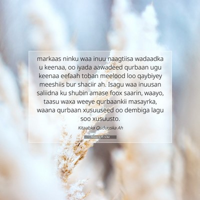Picture 07 - Tirintii 5:15 SOM - markaas ninku waa inuu naagtiisa wadaadka u - Bible Verse Picture