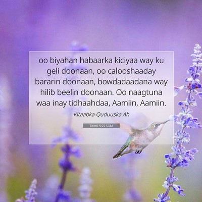 Picture 07 - Tirintii 5:22 SOM - oo biyahan habaarka kiciyaa way ku geli doonaan, - Bible Verse Picture