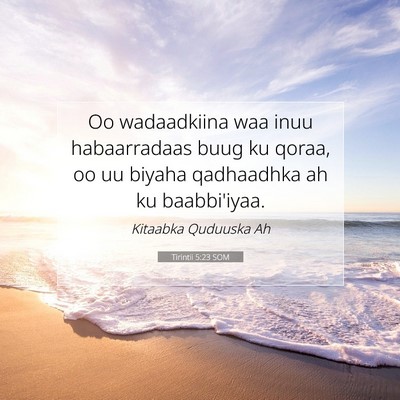 Picture 07 - Tirintii 5:23 SOM - Oo wadaadkiina waa inuu habaarradaas buug ku - Bible Verse Picture