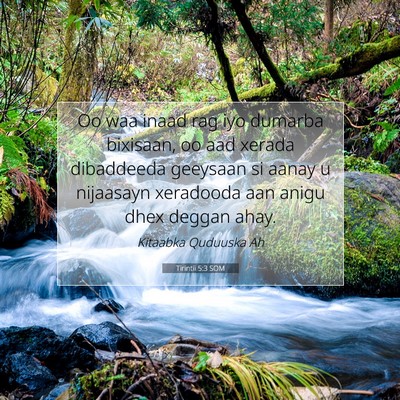 Picture 07 - Tirintii 5:3 SOM - Oo waa inaad rag iyo dumarba bixisaan, oo aad - Bible Verse Picture